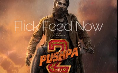 నెట్ ఫ్లిక్ లో పుష్ప 2 స్ట్రీమింగ్ డేట్ ఖరారు