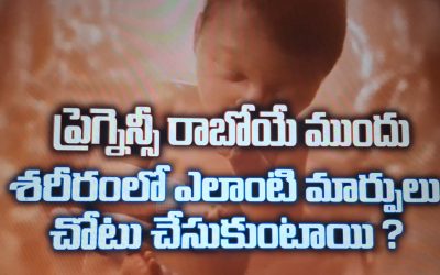 ప్రెగ్నన్సీ రాబోయేముందు శరీరంలో  చోటు చేసుకునే మార్పులు