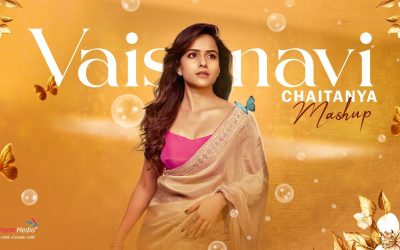 ఏదో ఒక రోజు 100% నాకు వస్తది అనుకున్నానన్న వైష్ణవి చైతన్య
