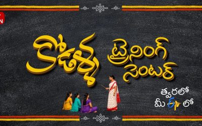 భారీ మార్పులకు శ్రీకారం చుట్టిన ఈటీవీ!